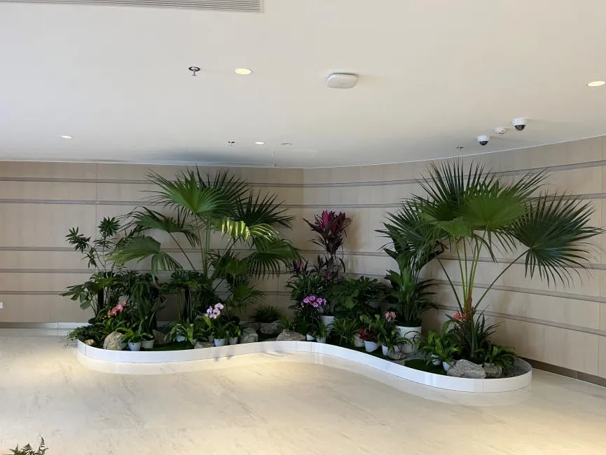 宁波北仑花木租摆设计,满足你对绿色的所有期待